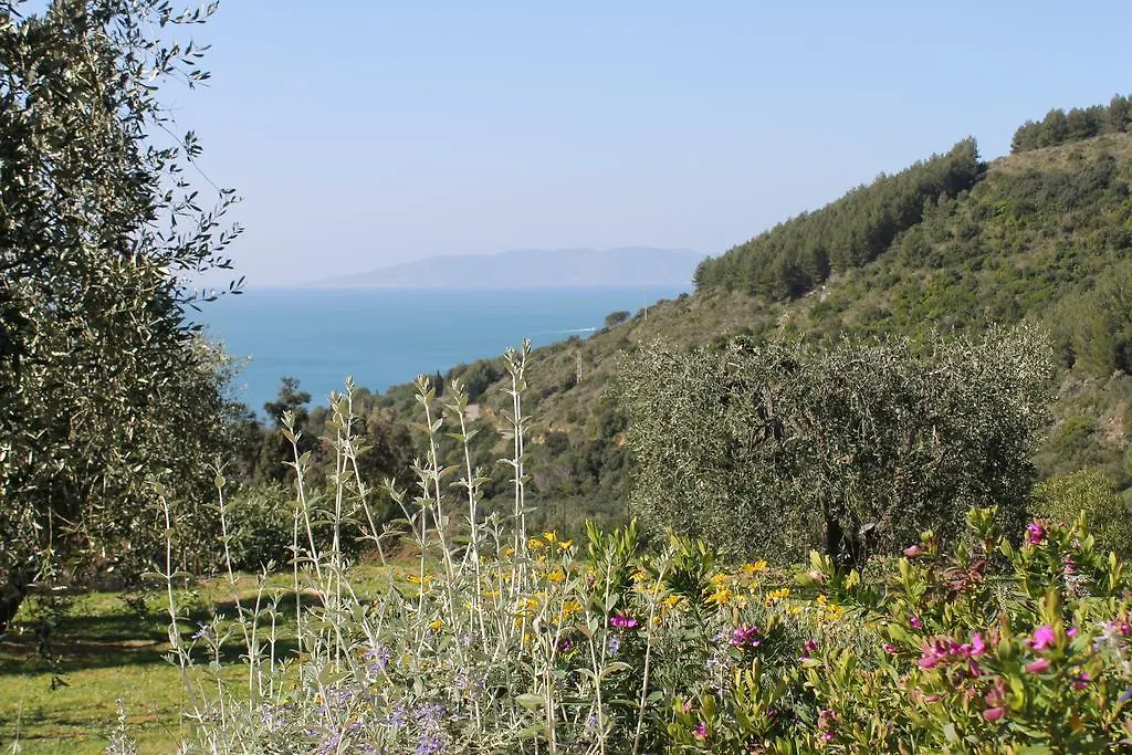 La Casa Nella Macchia Villa Monte Argentario